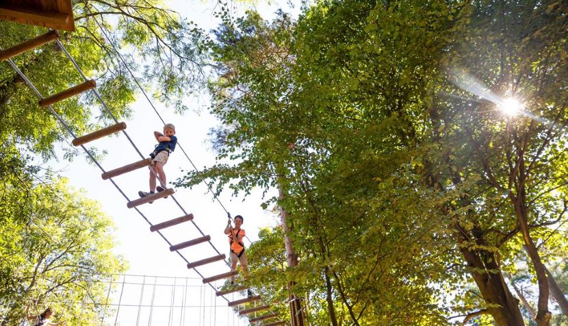 Go Ape